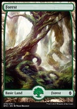 Forest (#270) (Full-Art)