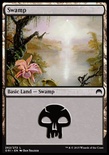 Swamp (#261)