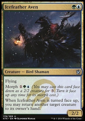 Icefeather Aven