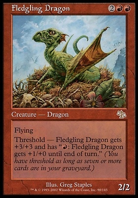 Fledgling Dragon