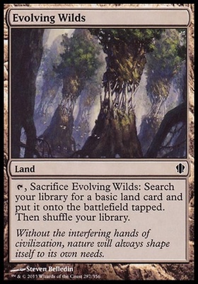 Evolving Wilds