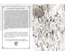 Brancalonia - Manuale delle Giovani Canaglie Librogame