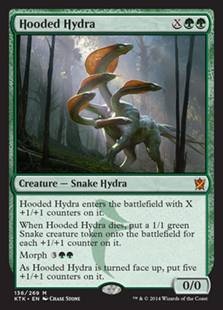 Hooded Hydra