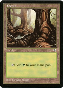Forest (C)