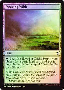 Evolving Wilds