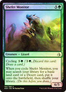 Shefet Monitor