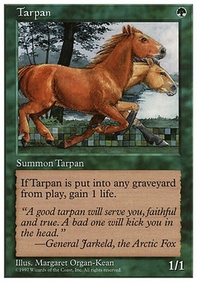 Tarpan