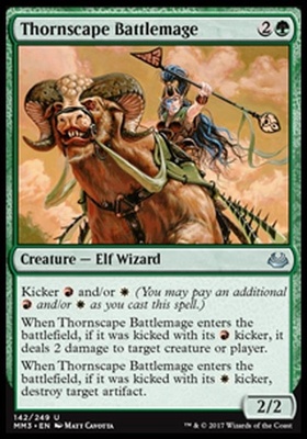 Thornscape Battlemage