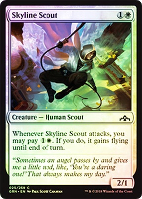 Skyline Scout