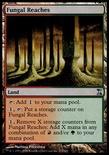 Fungal Reaches