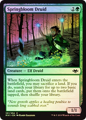 Springbloom Druid