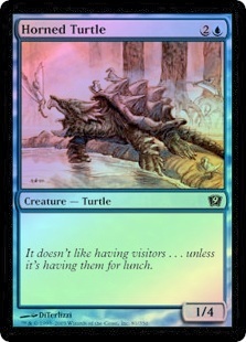 Horned Turtle