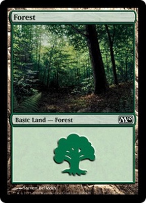 Forest (#248)