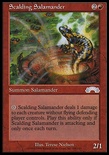 Scalding Salamander