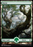 Forest (#274) (Full-Art)