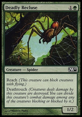 Deadly Recluse