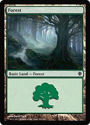 Forest (#354)