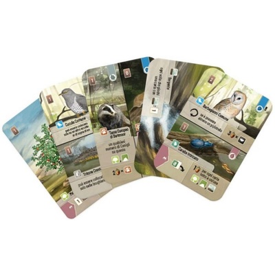 Forest Shuffle: Dartmoor
