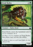 Feral Hydra