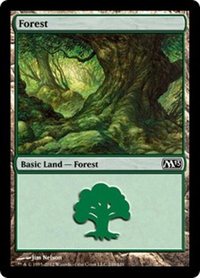 Forest (#249)