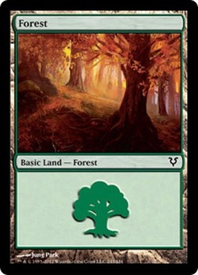 Forest (#243)