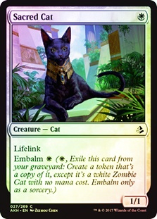 Sacred Cat