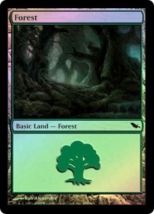 Forest (#299)
