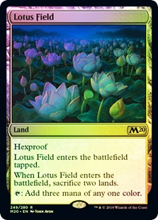 Lotus Field