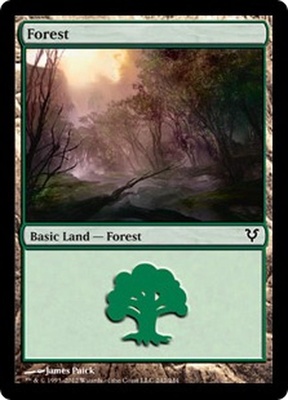 Forest (#242)