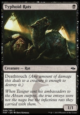 Typhoid Rats