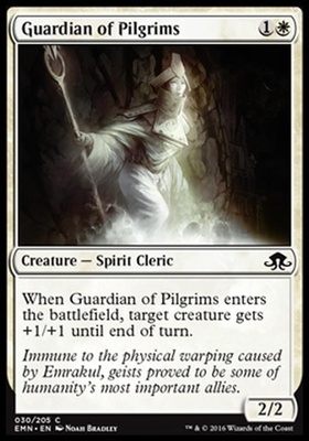Guardian of Pilgrims