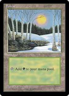 Forest (B)