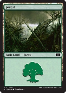 Forest (#335)