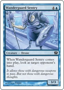 Wanderguard Sentry