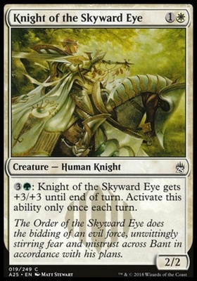 Knight of the Skyward Eye