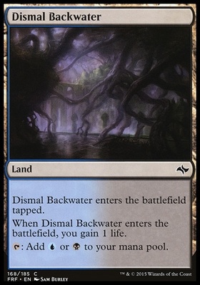 Dismal Backwater