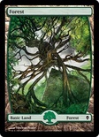 Forest (#249) (Full-Art)