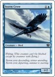 Storm Crow