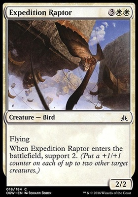 Expedition Raptor