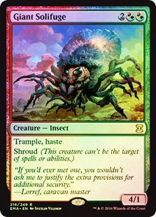 Giant Solifuge