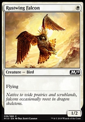 Rustwing Falcon