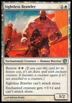 Sightless Brawler