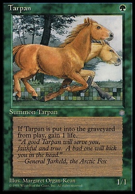 Tarpan