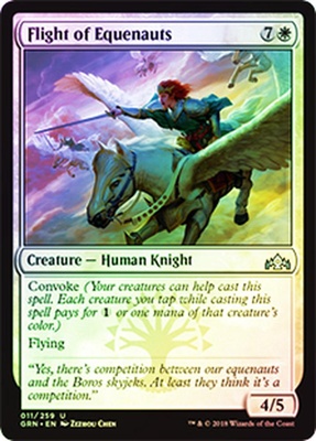 Flight of Equenauts