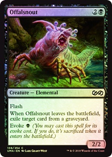 Offalsnout