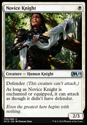 Novice Knight