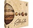 Galileo Galilei