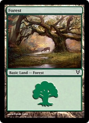 Forest (#244)