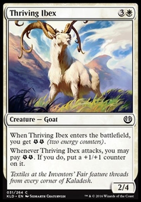Thriving Ibex
