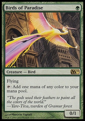 Birds of Paradise